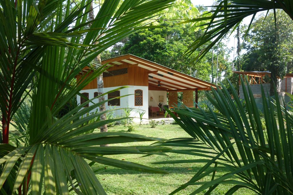 Los Delfines Lodge Puerto Viejo de Talamanca Стая снимка